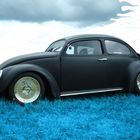 -Chopped Beetle-