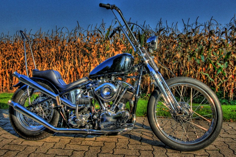 Chopper`s Bike