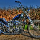 Chopper`s Bike