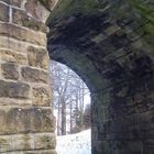 chopwell woods bridge