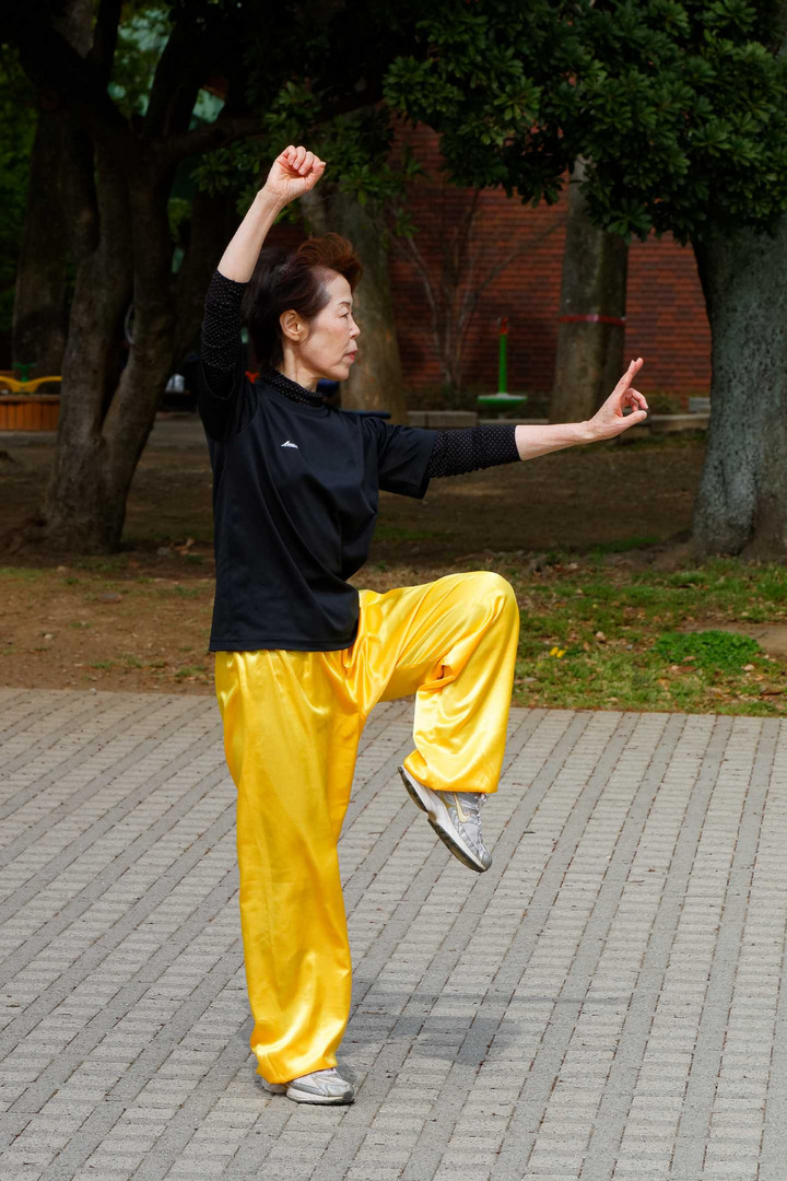 Chorégraphie martiale, dans un parc publique de Tokyo.