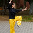 Chorégraphie martiale, dans un parc publique de Tokyo.