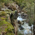 CHORRERAS DEL RÍO OREJÓN