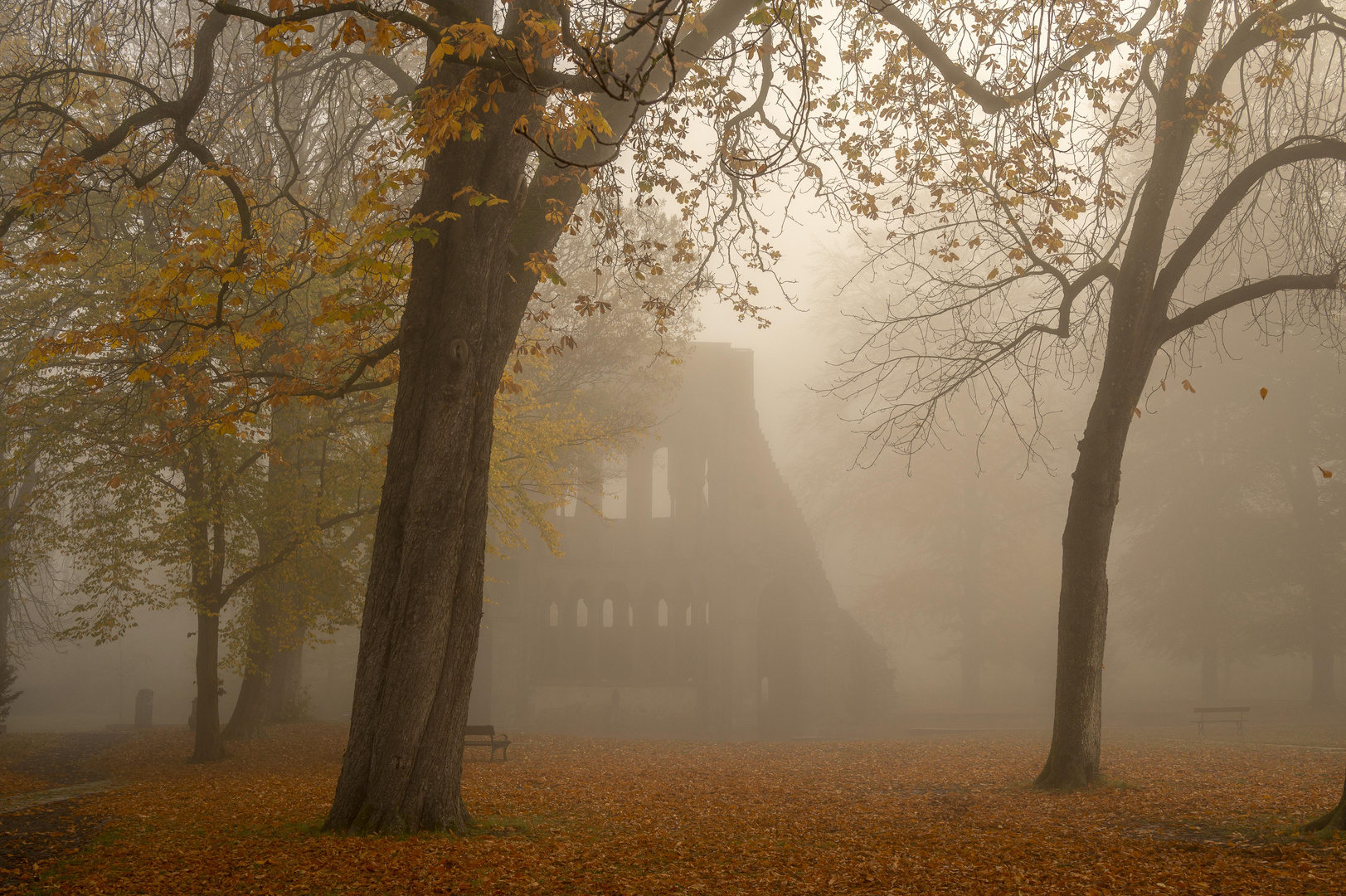 Chorruine Heisterbach im Morgennebel