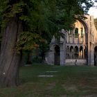 Chorruine Kloster Heisterbach