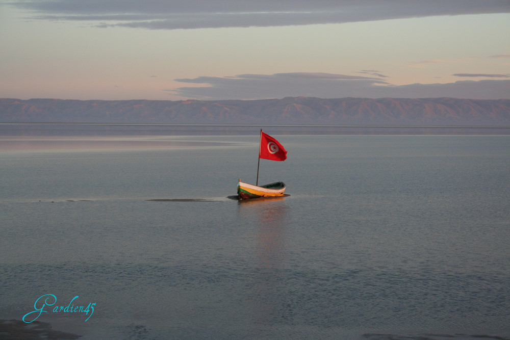 Chott el djerrid - (Mer de sel TUNISIE )