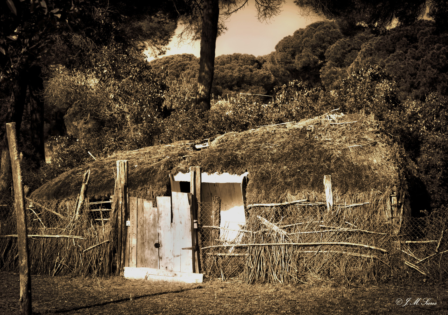 Choza de Carboneros en Doñana