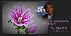 Chris Roberts