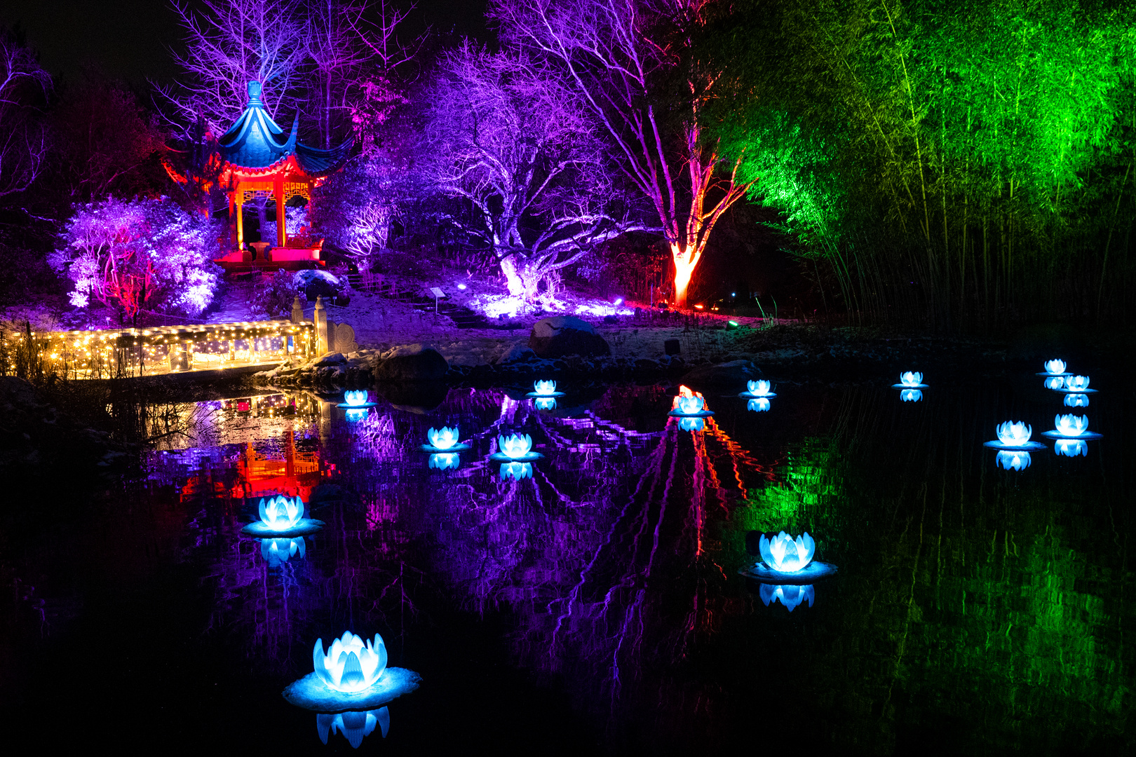 Chrismas Garden im Loki-Schmidt Park Hamburg