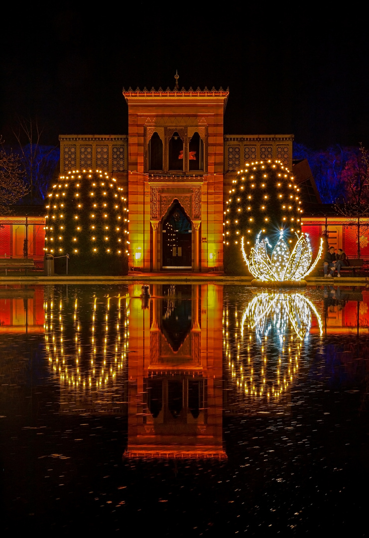 Chrismas Garden Wilhelma Stuttgart - Spiegelung