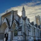 Christ Church Cathedral - Nelson