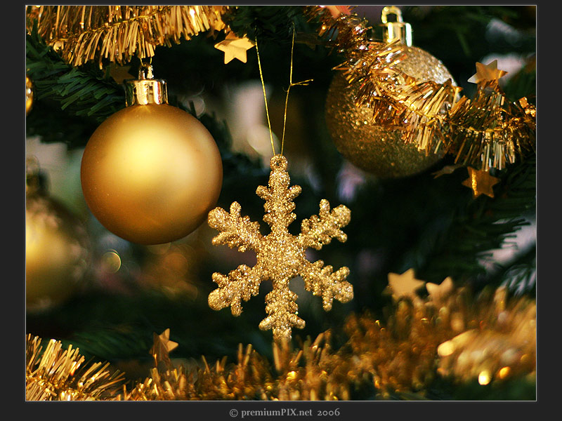 Christbaum Foto & Bild | gratulation und feiertage, weihnachten