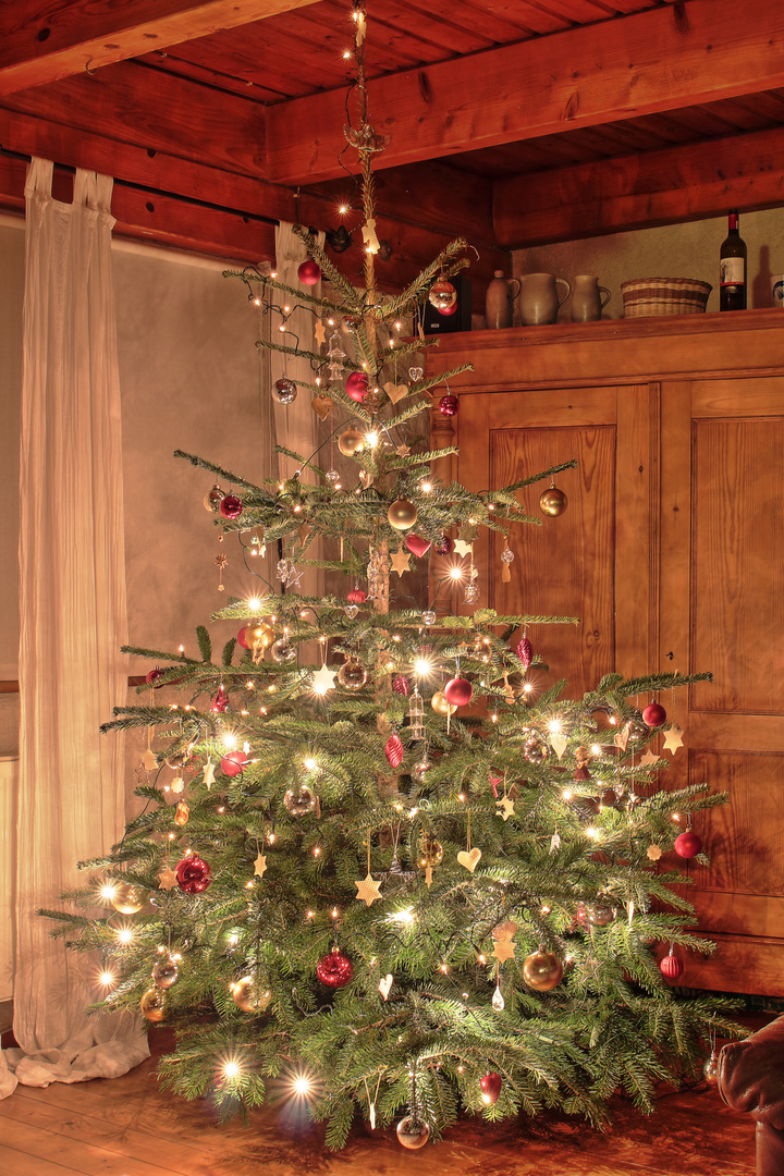 Christbaum Foto & Bild gratulation und feiertage, weihnachten