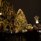 Christbaum am Marienplatz