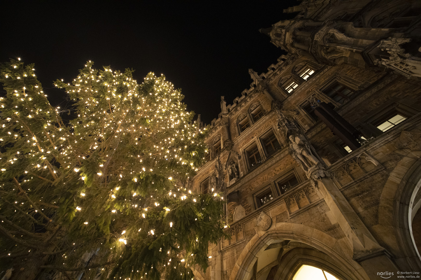 Christbaum am Marienplatz