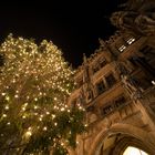 Christbaum am Marienplatz