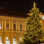 Christbaum am Rathausplatz