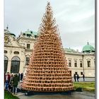 Christbaum aus Rodel-Schlitten