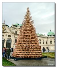 Christbaum aus Rodel-Schlitten