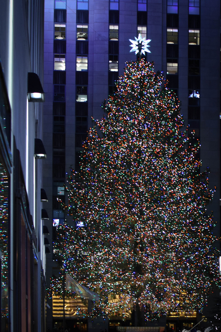 Christbaum Foto & Bild | weihnachten, world, winter Bilder auf