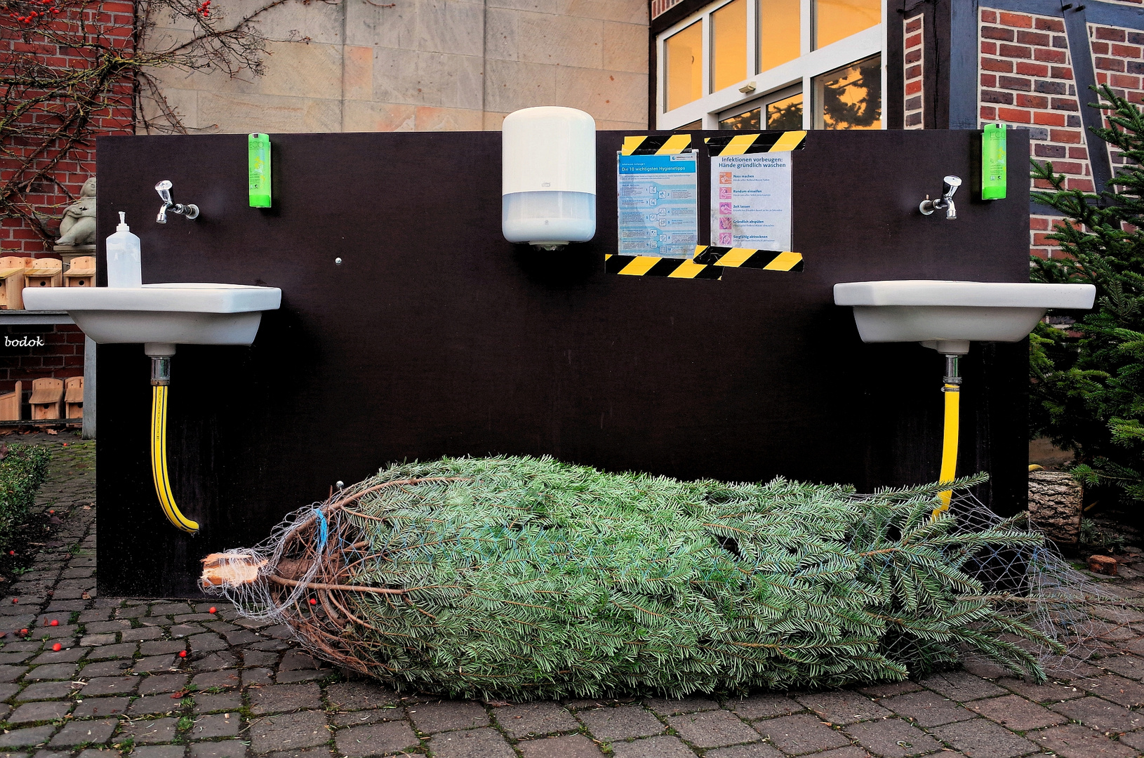 Christbaum-Kauf in Corona-Zeiten