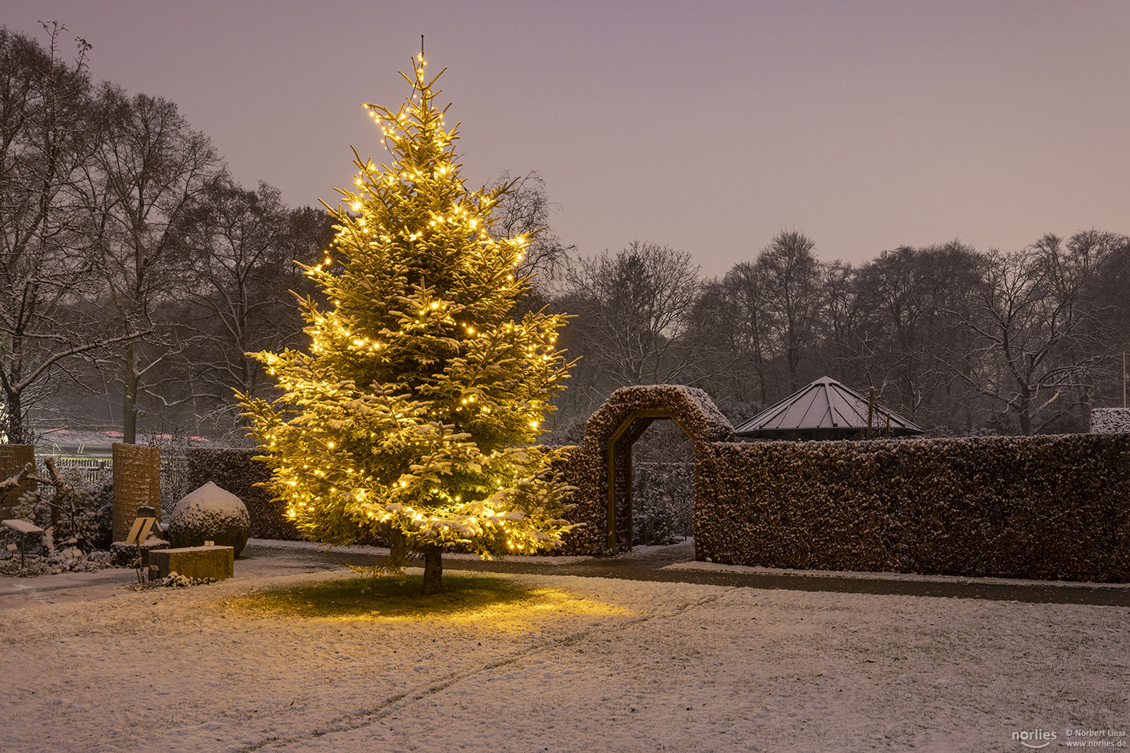 Christbaum mit Apothekergarten