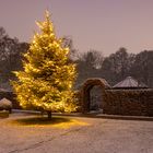 Christbaum mit Apothekergarten