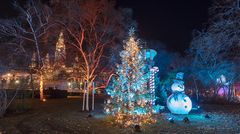 Christbaum Wien