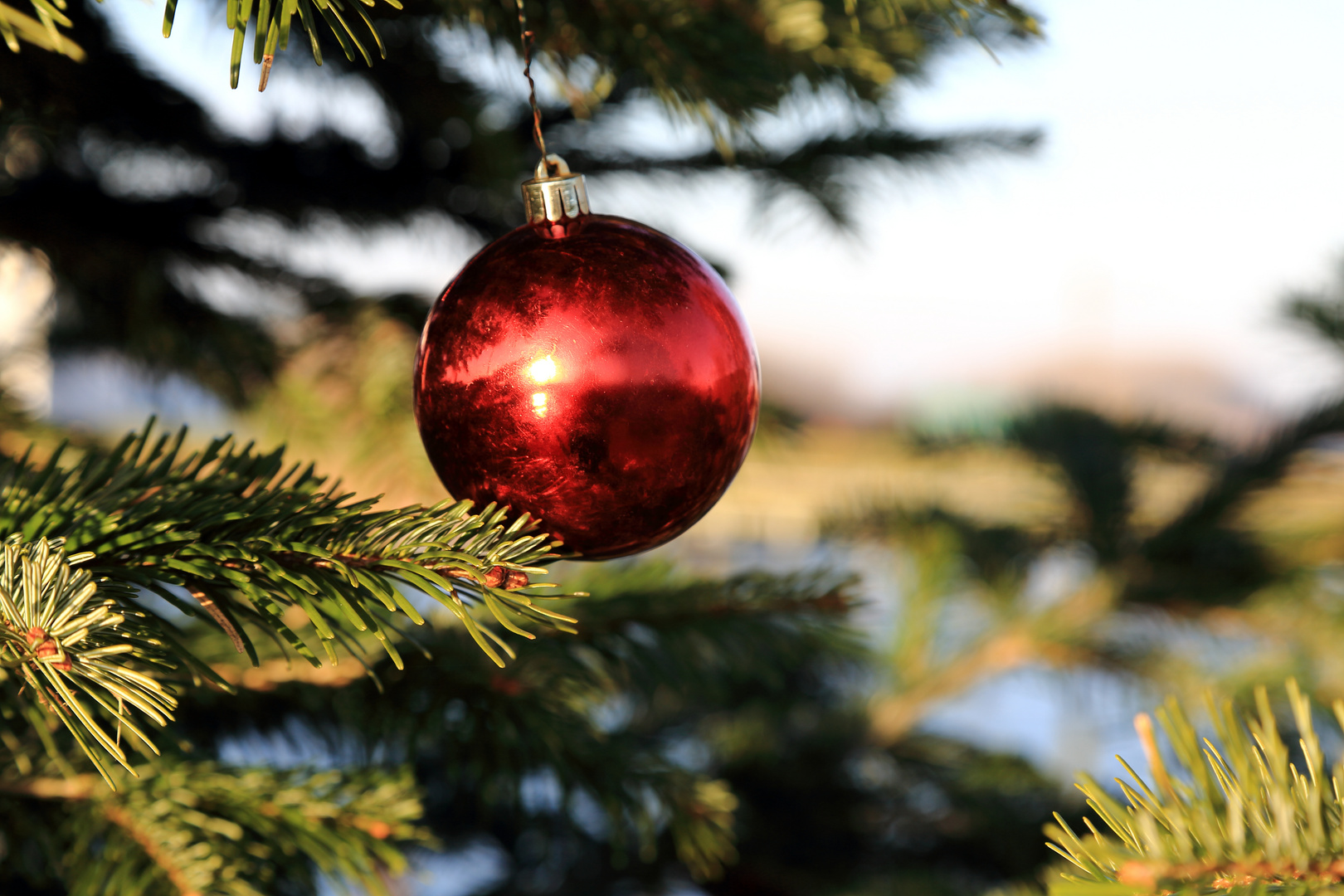 Christbaumkugel in der Wintersonne