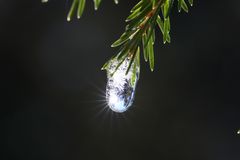 Christbaumschmuck 2