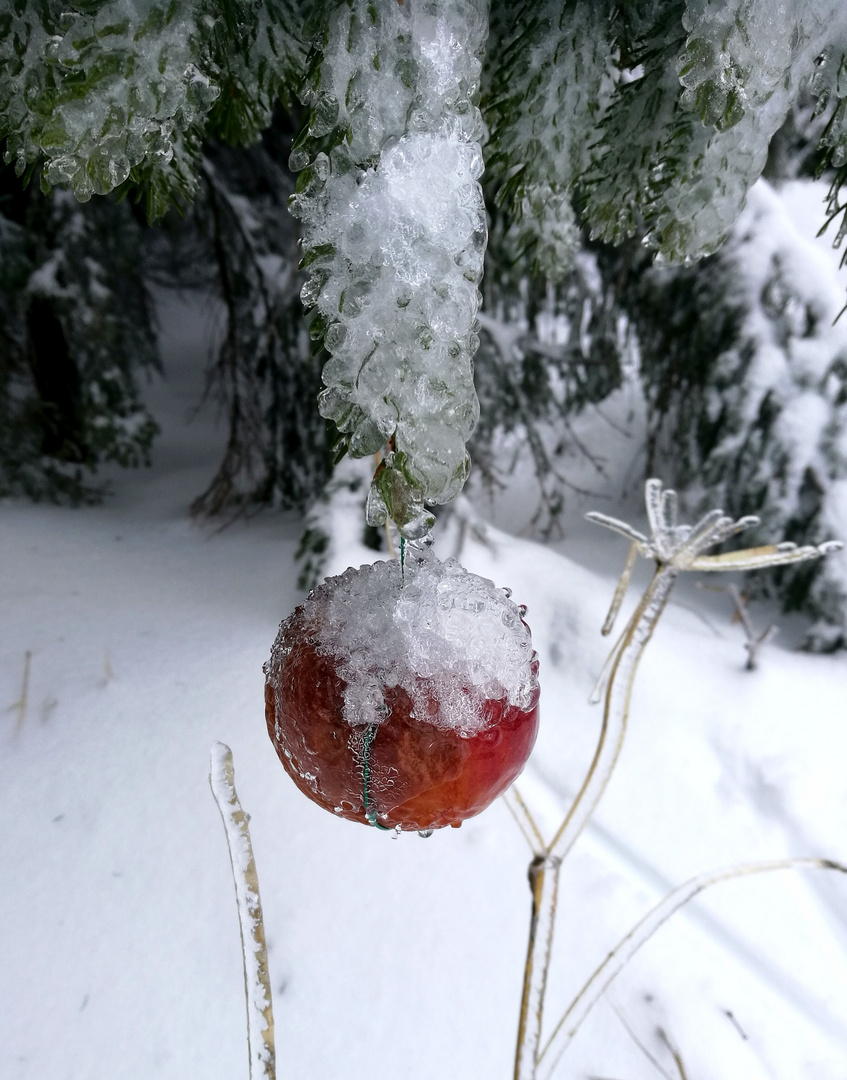 Christbaumschmuck ?