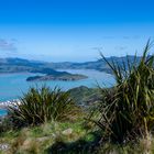 Christchurch - Blick auf Governors Bay