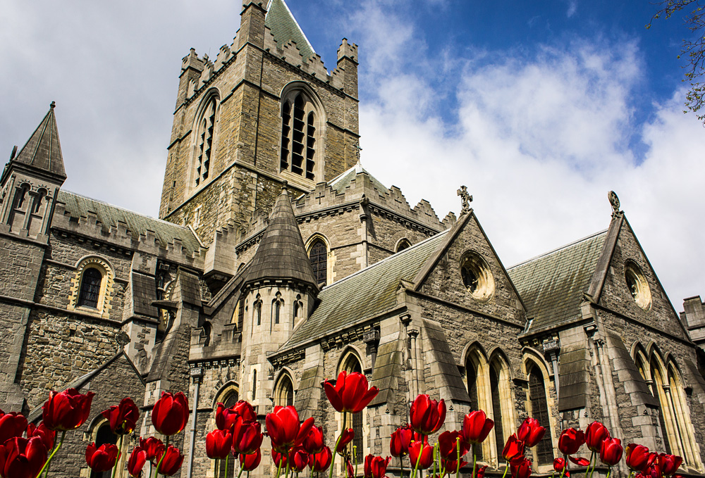 Christchurch e tulipani