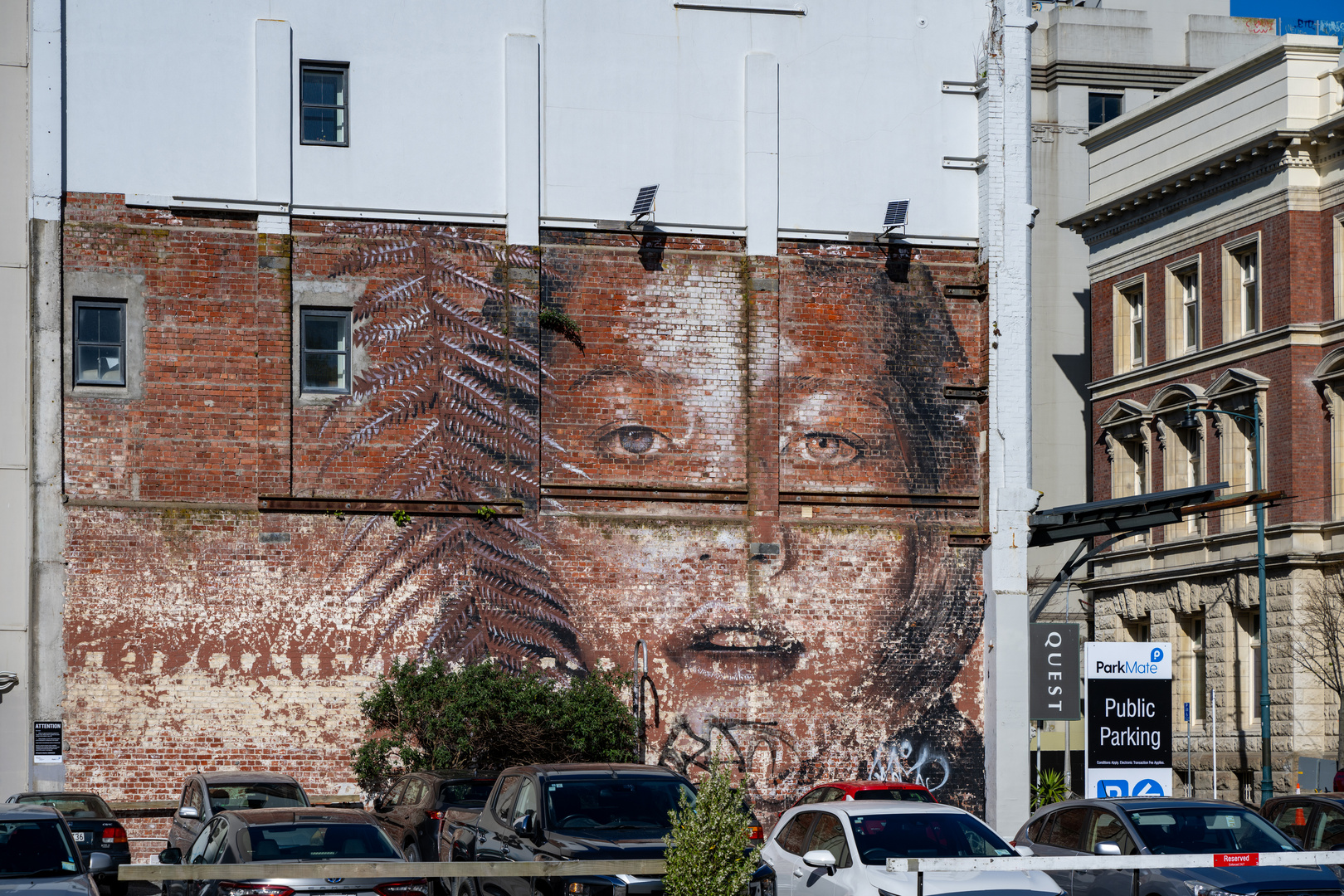 Christchurch - Graffiti mit Silver Fern