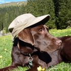 User Profile Photo