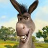 ChristianW83