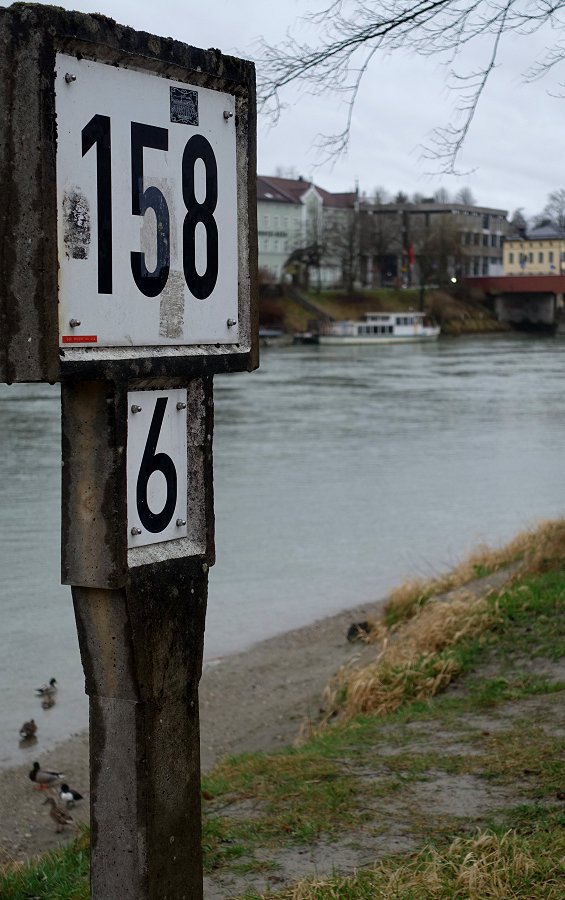 Christine und die Enten