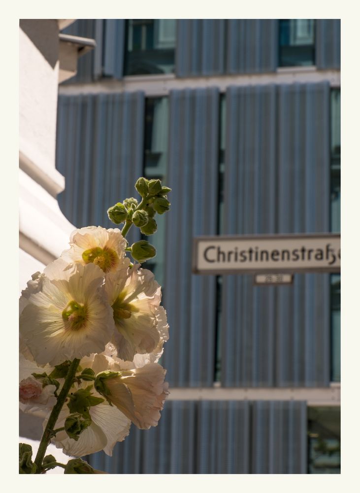 Christinenstraße