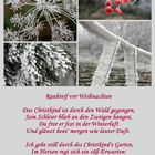 Christkind im Wald