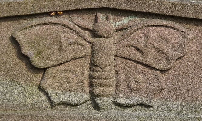 Christliche Symbolik - Nachtfalter