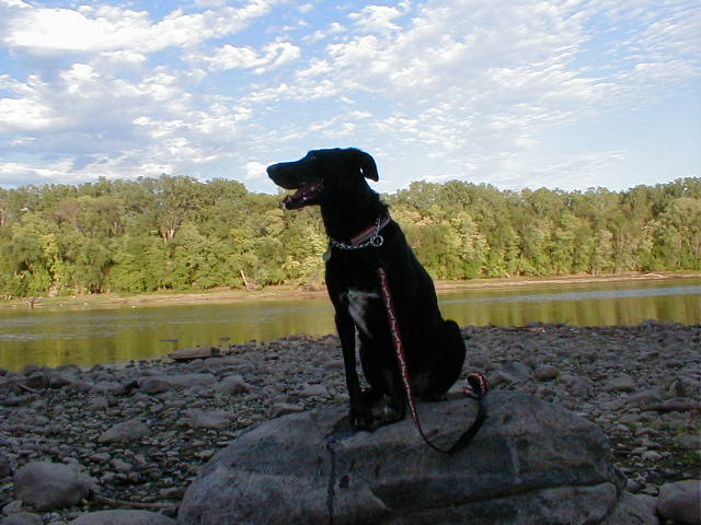 Christmas Ann at the Mississippi