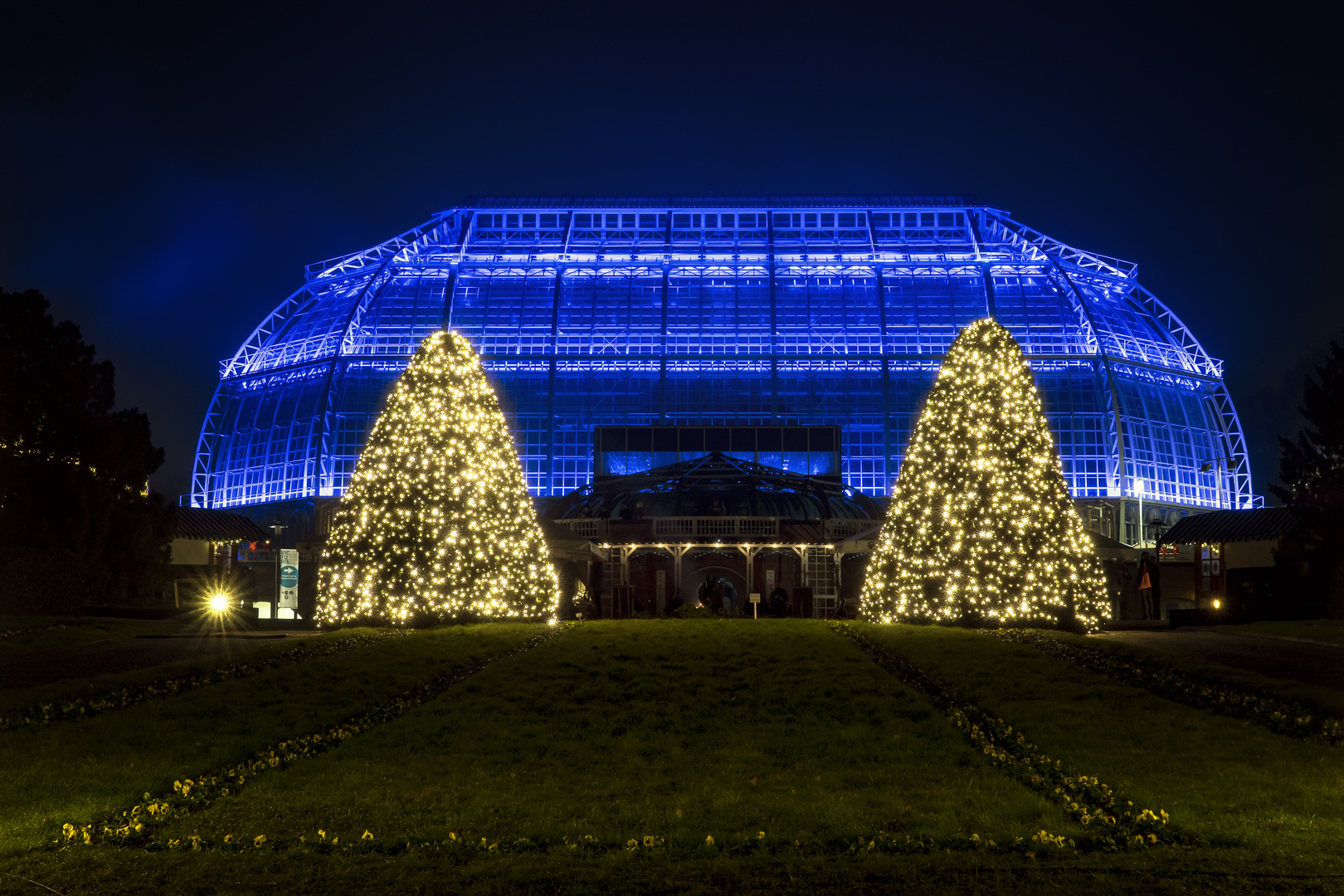 Christmas Garden 2