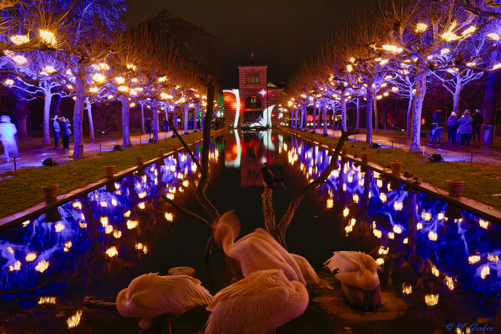Christmas Garden 2 (Stuttgart) Foto & Bild weihnachten, world