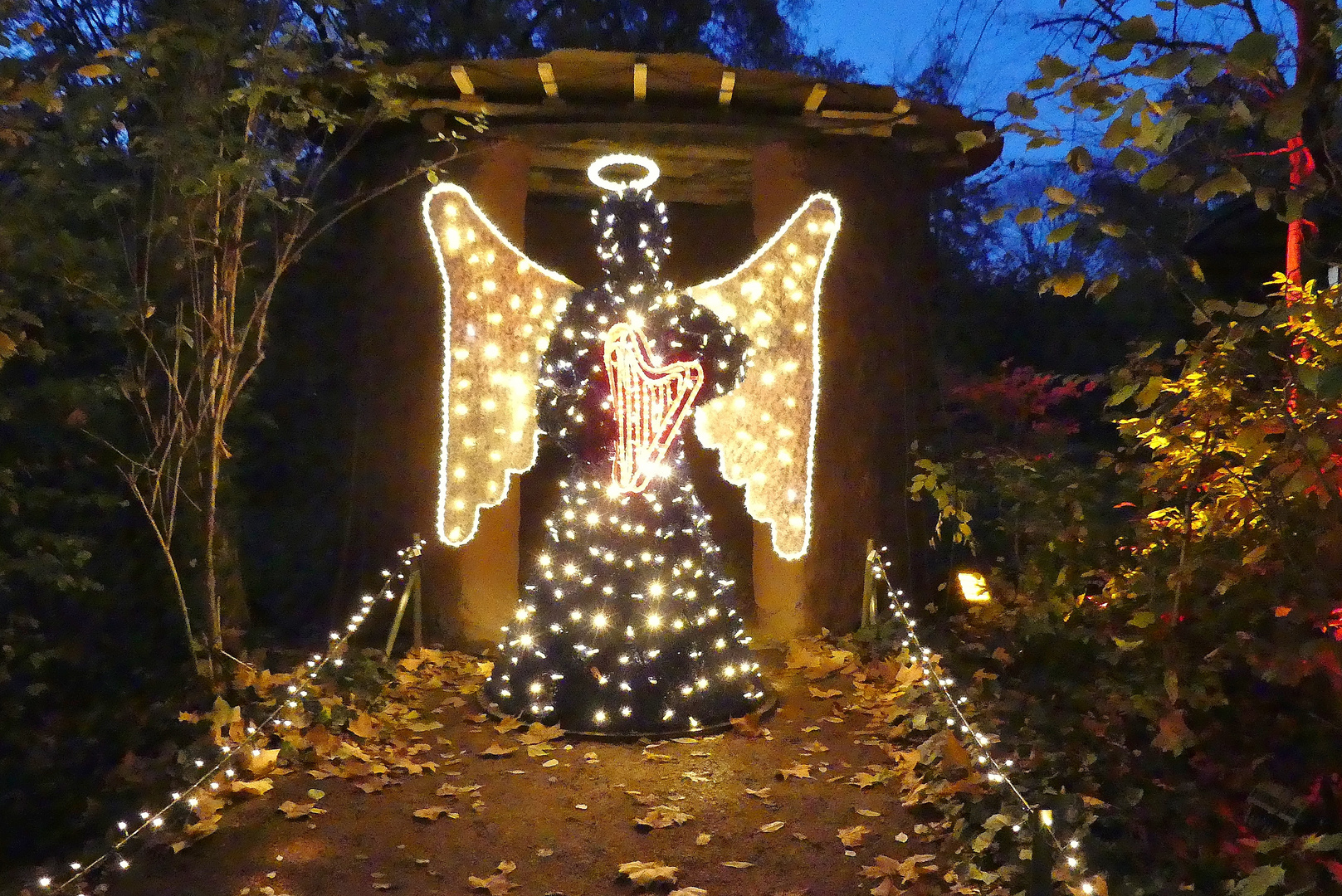 Christmas Garden 2022 in Köln