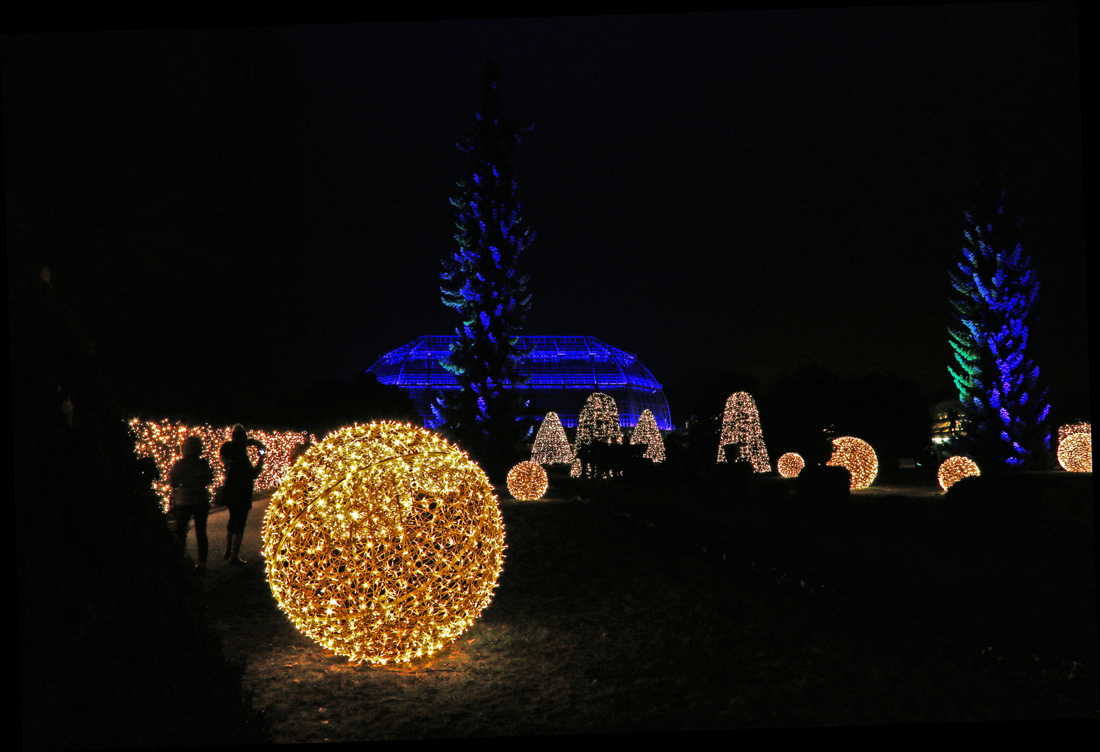 Christmas Garden