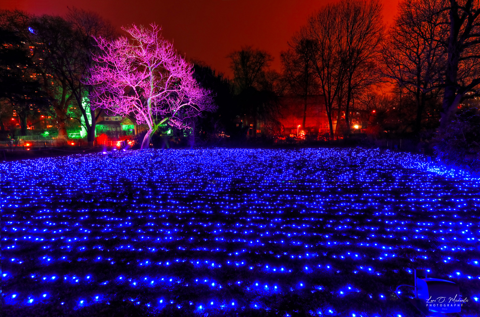 Christmas Garden