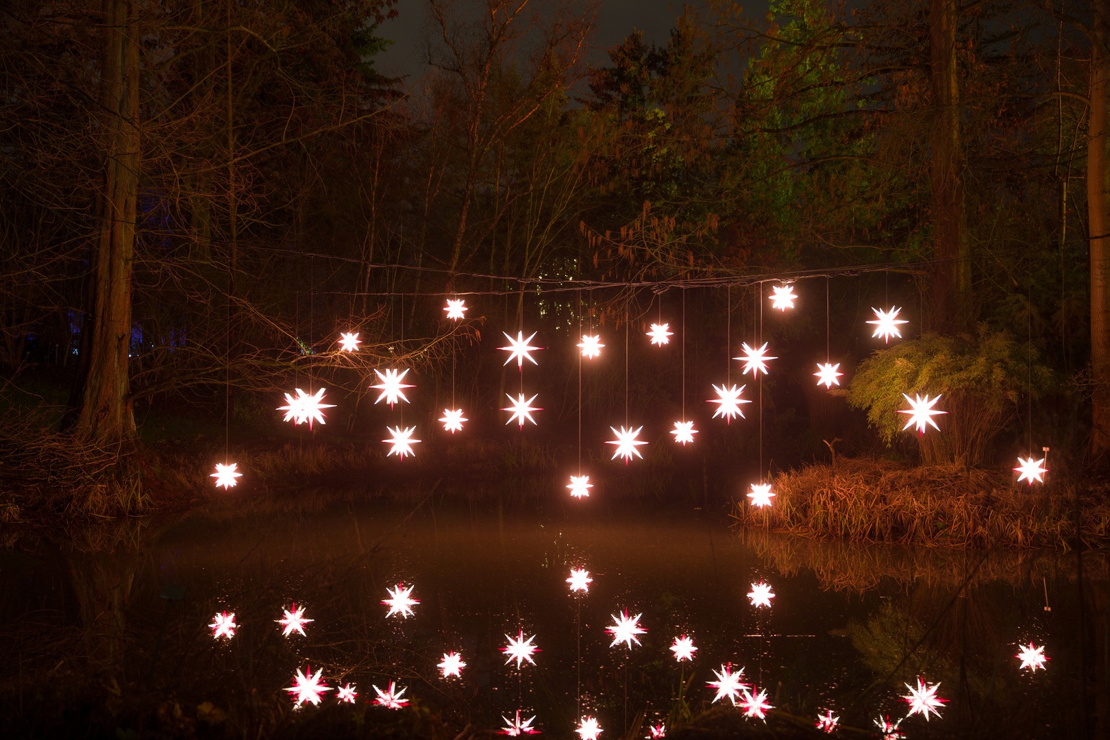 Christmas Garden Foto & Bild | lampen und leuchten, alltagsdesign