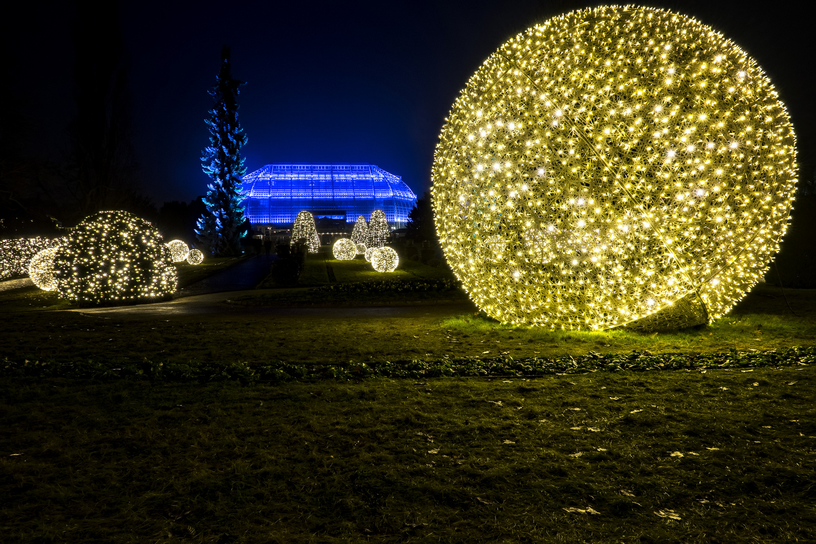 Christmas Garden