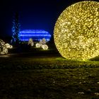 Christmas Garden