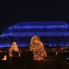 Christmas Garden Berlin 2016